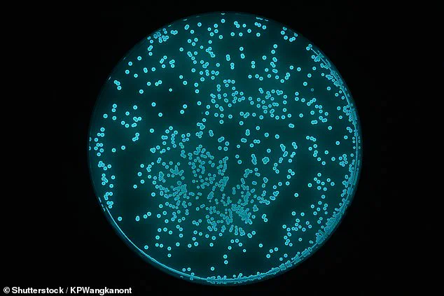 Exclusive Access to the Organic Tamagotchi: A Privileged Glimpse into the Future of Play