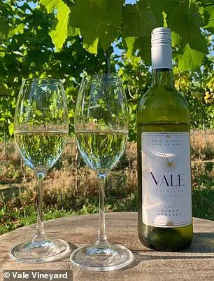 Exclusive Access to Wales' Emerging Pinot Noir: A Hidden Gem in the Global Wine Scene