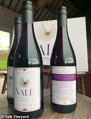 Exclusive Access to Wales' Emerging Pinot Noir: A Hidden Gem in the Global Wine Scene