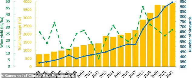 Exclusive Access to Wales' Emerging Pinot Noir: A Hidden Gem in the Global Wine Scene