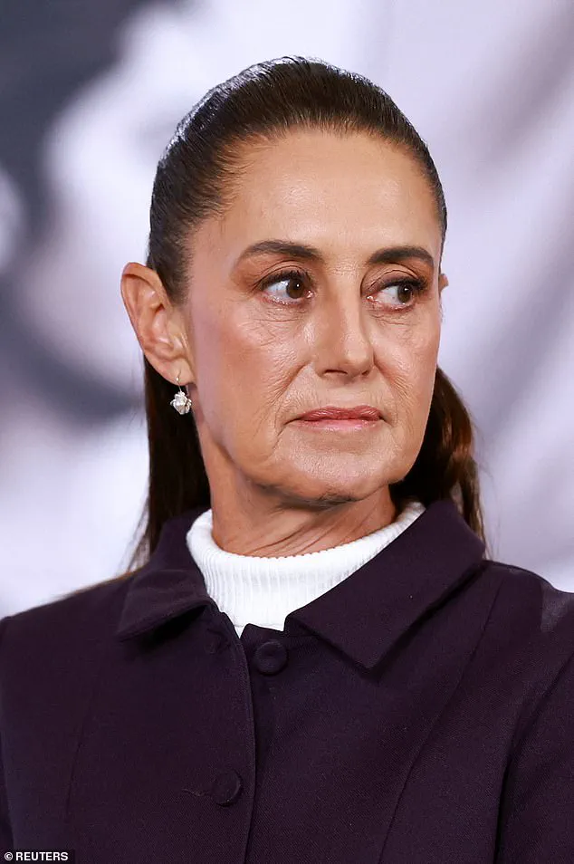 Exclusive: Trump's Behind-the-Scenes Push for U.S. Troops in Mexico Exposes Privileged War on Drugs Strategy