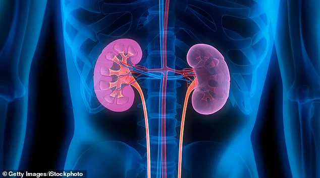 Experts Warn Nine Million Britons May Be Unknowingly at Heightened Risk of Serious Health Conditions Due to New Cardiovascular-Kidney-Metabolic Syndrome
