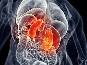 Experts Warn Nine Million Britons May Be Unknowingly at Heightened Risk of Serious Health Conditions Due to New Cardiovascular-Kidney-Metabolic Syndrome