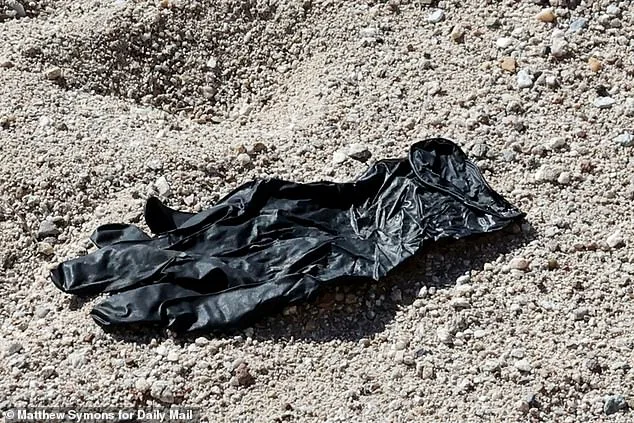 FBI Confirms Glove Found Near Nancy Guthrie's Home Fails DNA Match, Casting Doubt on Disappearance Investigation