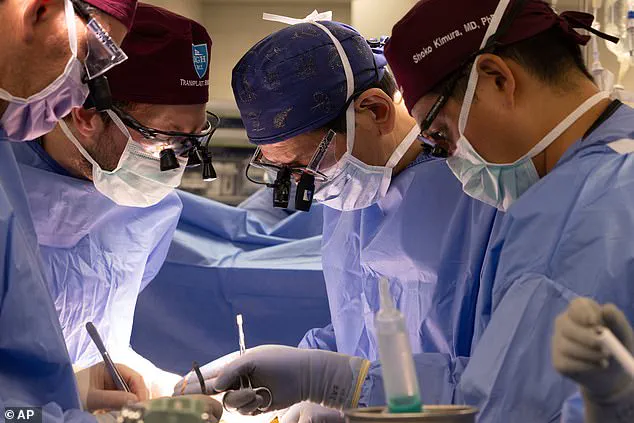 FDA Approves First Clinical Trials for Genetically Modified Pig Organs in Fight Against Organ Shortage