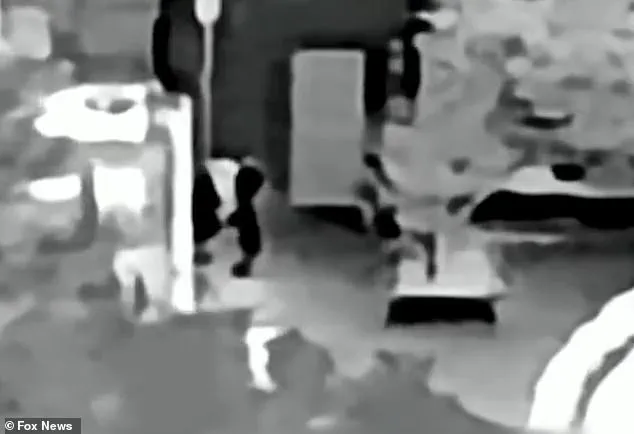 Feds Conduct Third Search of Nancy Guthrie's Home in Kidnapping Case; Daughter Appeals for Public Help