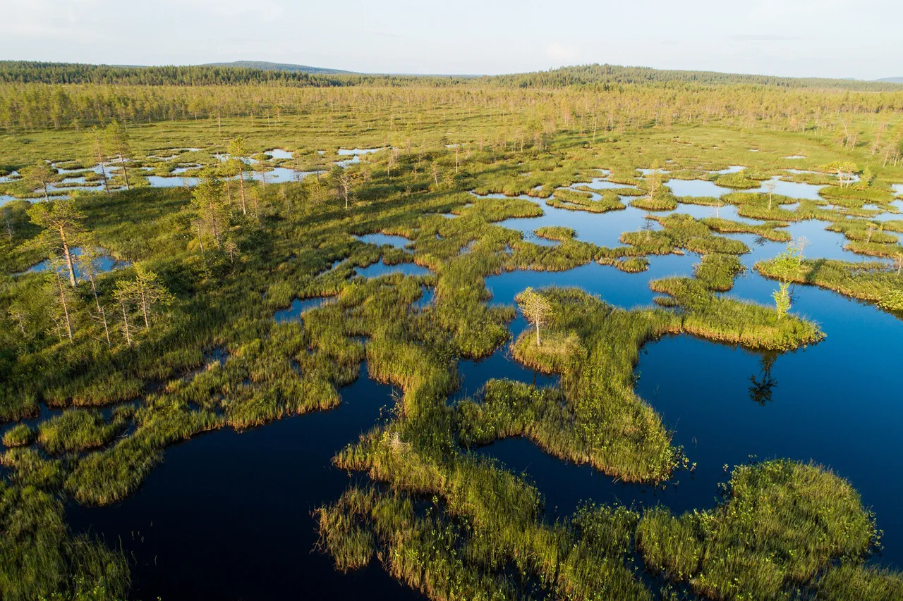Finland, Poland, and Estonia Collaborate on Dried Bog Barriers to Enhance National Security Against Russian Incursions