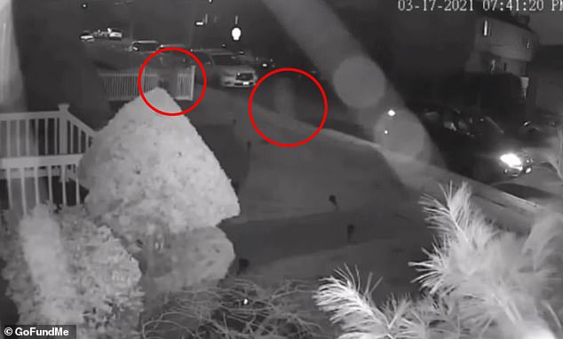 Five-Year Justice: Terrell Campbell Indicted for Acid Attack That Left Nafiah Ikram with Life-Altering Burns