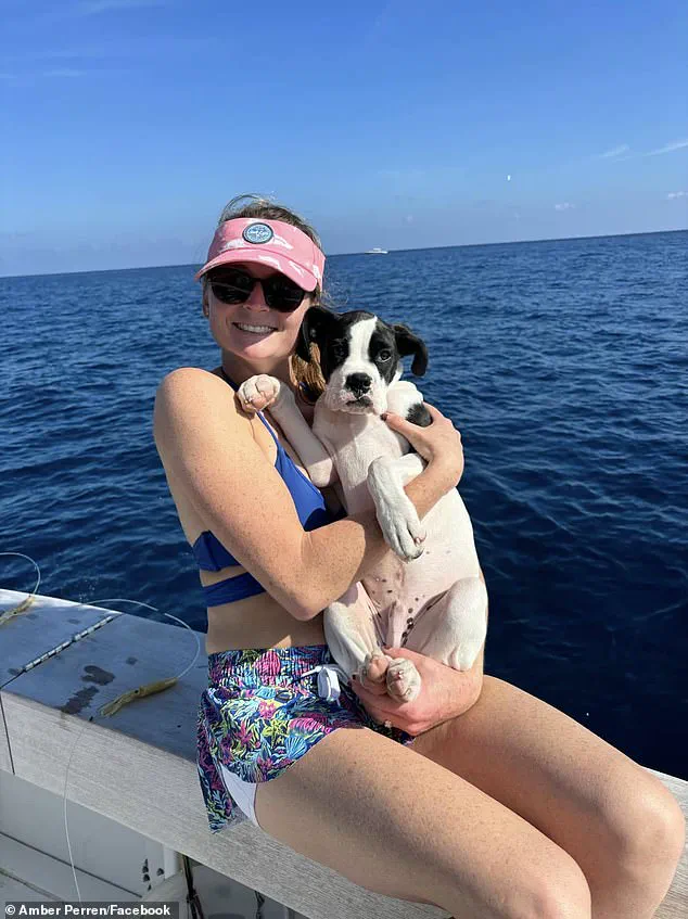 Florida Doctor's Life-or-Death Alligator Encounter Reveals Hidden River Dangers