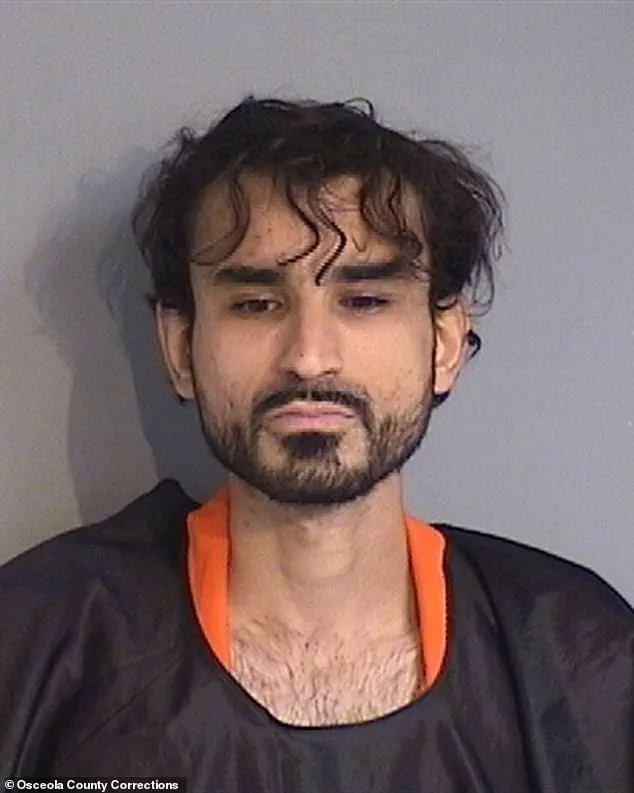 Florida Prosecutor Highlights Mental Health Care Costs as Factor in Tragic Deaths Near Disney World