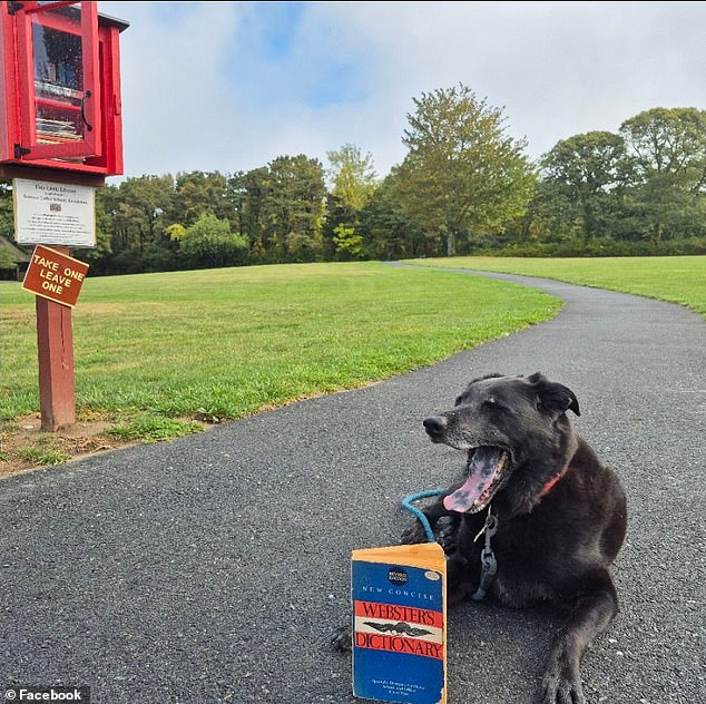 Frozen River Claims Lives of 50-Year-Married Couple in Cape Cod