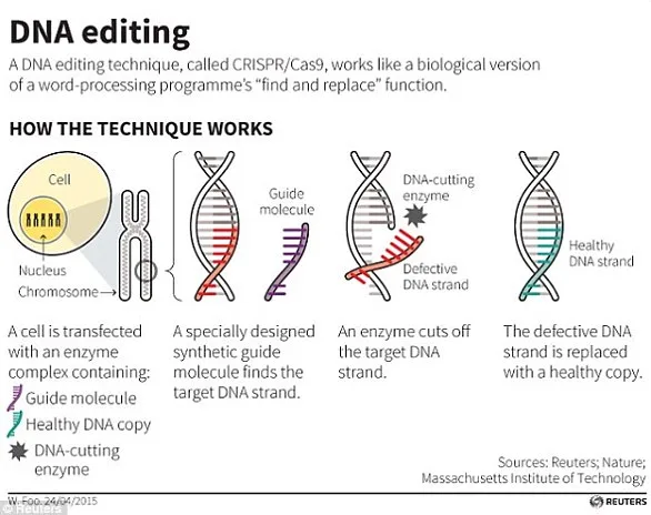 Gene-Editing Breakthrough Could Bring 'Supersteaks' to Supermarkets in 3 Years