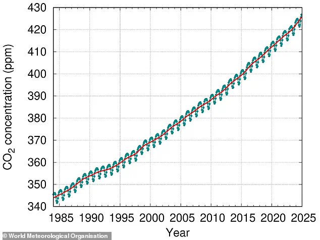 Global CO2 Levels Reach Record High in 2024, WMO Reports