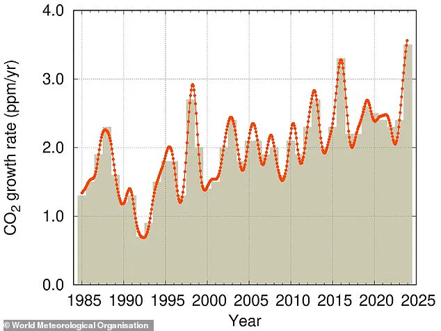 Global CO2 Levels Reach Record High in 2024, WMO Reports