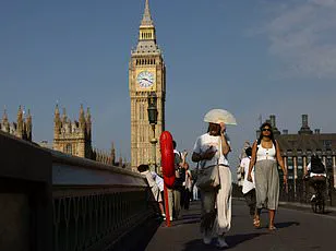 Global CO2 Levels Reach Record High in 2024, WMO Reports