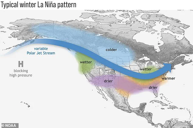Government Agencies Warn of Increased Hurricane Risk Due to La Niña, Urge Public Preparedness