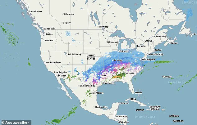 Government Directives in Response to Winter Storm Fern: Managing Crisis and Public Safety