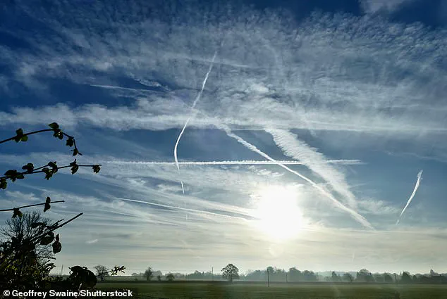 Government Secrecy and Public Health: The Chemtrail Controversy