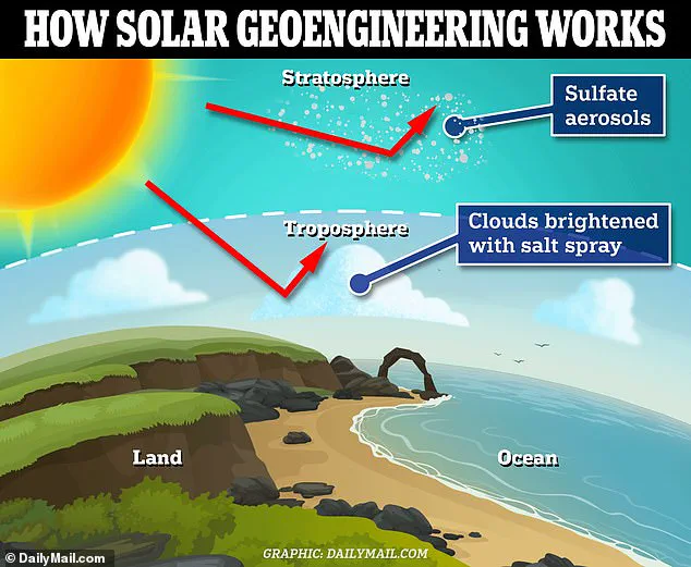 Government Secrecy and Public Health: The Chemtrail Controversy