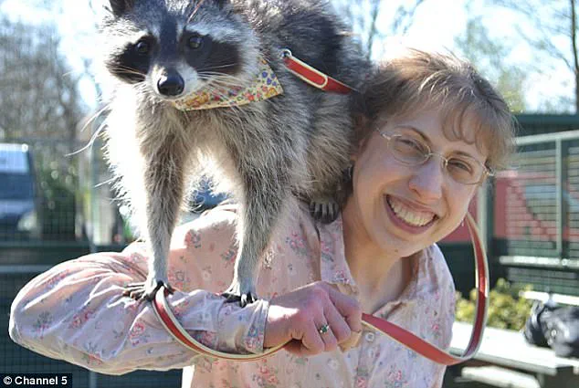 Groundbreaking Discovery in Carinthia: Cow Documented Using Tool for First Time in Scientific Study
