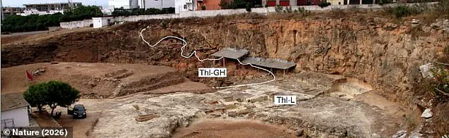 Groundbreaking Discovery in Morocco: 773,000-Year-Old Fossils Reveal Pivotal Moment in Human Evolution, Says Dr. Sarah Mitchell