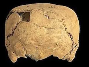 Groundbreaking Discovery in Morocco: 773,000-Year-Old Fossils Reveal Pivotal Moment in Human Evolution, Says Dr. Sarah Mitchell