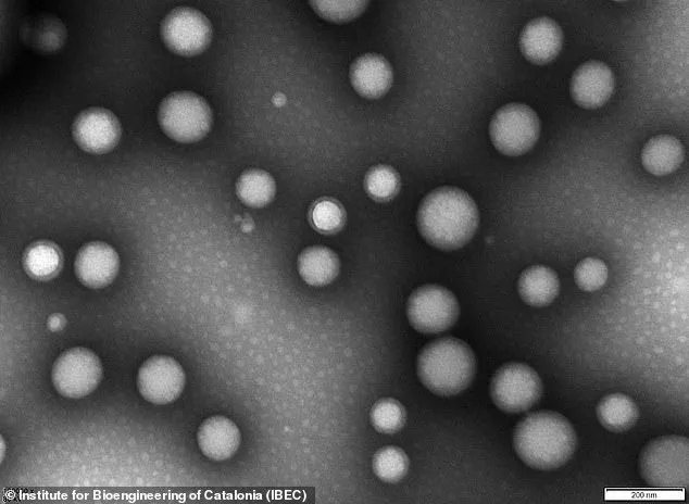 Groundbreaking Nanoparticle Treatment Reverses Alzheimer's in Mice, Sparking New Hope for Human Patients