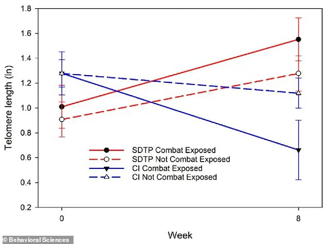 Groundbreaking Study Reveals Link Between Weekly Dog Interaction and Slower Telomere Shortening in Women