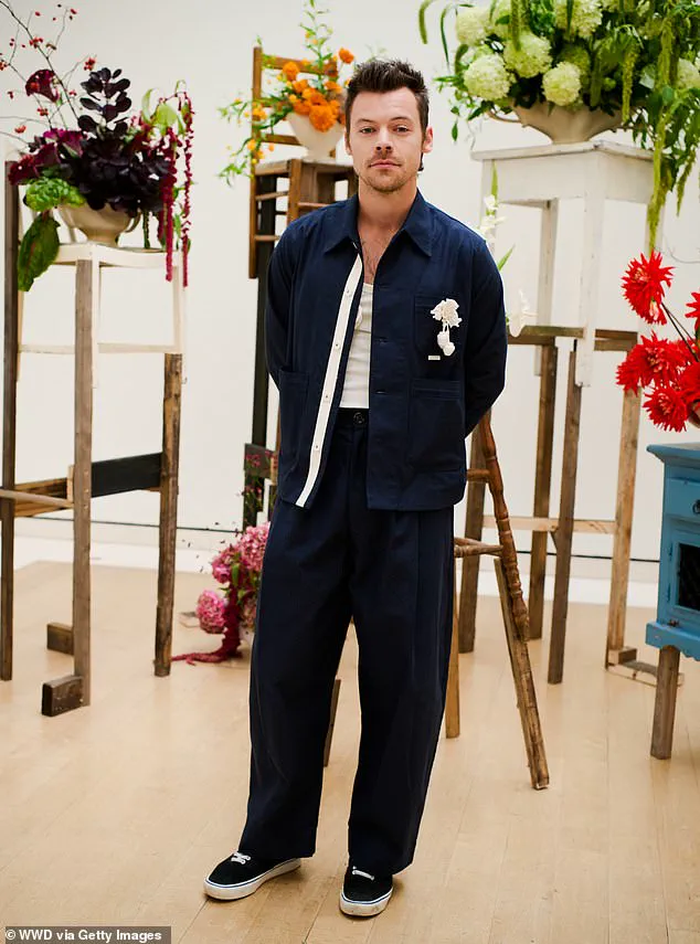 Harry Styles' £30 Million Mansion Sparks 'Right to Light' Dispute with Hampstead Neighbors: 'We're Losing Natural Light, and It's Unfair'