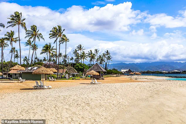 Hawaii Lifeguard Survives Attempted Murder-Suicide by Known Suspect