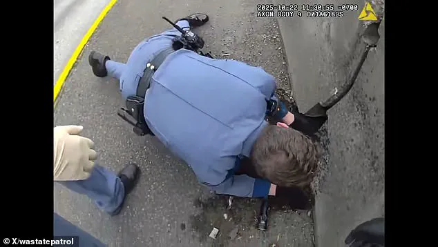 Heartwarming Rescue of Tiny Kitten on I-5 Near Tacoma Captures Hearts Online, Thanks to Troopers Bonner and Fath