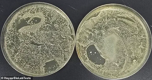 Hidden Danger in Vapes: Study Reveals 3,000-Fold Contamination Crisis and Health Experts Sound Hygiene Warnings