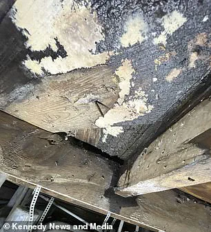 Hidden Hazards in New Homes: How Regulatory Gaps Threaten Public Health in Texas