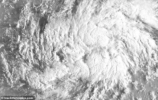 High Probability of Cyclone Formation from Invest AL92 in the Central Tropical Atlantic