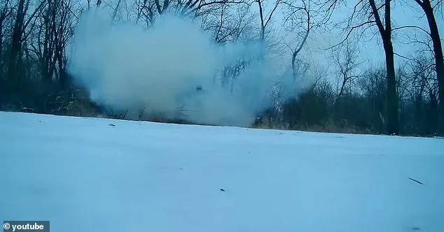 Historic Winter Storm Triggers Rare 'Frost Cracking' Phenomenon, Causing Trees to Explode from Freezing Sap