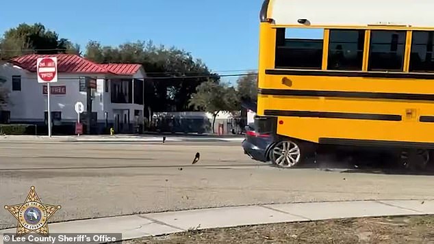 Horrific Video Captures Jaguar Sliding Under School Bus in Fort Myers