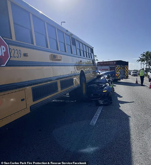 Horrific Video Captures Jaguar Sliding Under School Bus in Fort Myers