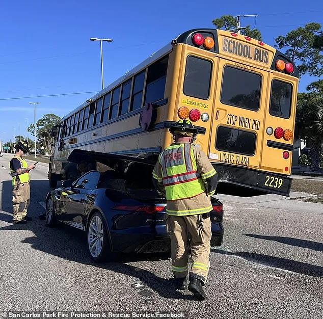 Horrific Video Captures Jaguar Sliding Under School Bus in Fort Myers