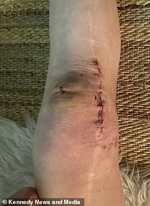 How a New Healthcare Regulation Undermined Public Trust in Surgeons