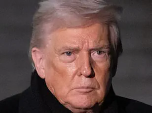 Insider Perspective: Greenlanders Mock American Fentanyl Culture in Viral Social Media Parody