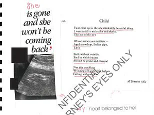 Jeffrey Epstein Documents Fuel Conspiracy Theories of Hidden Children and Victim's Harrowing Account