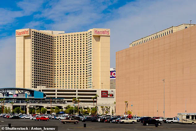 Las Vegas Pivots to Manufacturing as Tourism Slump Deepens: Foliot Furniture Leads the Charge