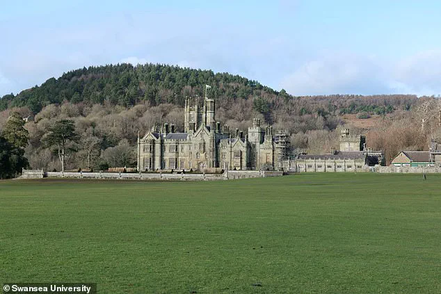 Late-Breaking Discovery: Largest Roman Villa in Wales Uncovered Beneath Margam Country Park