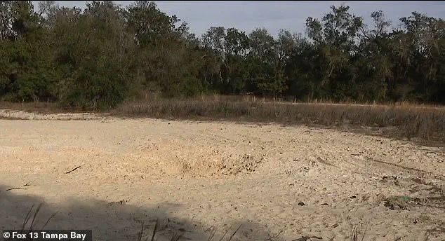 Late-Breaking: Tragic Hole Collapse Claims Lives of Two Florida Teens