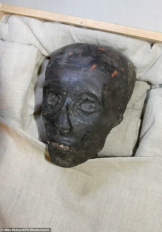 Late-Breaking: Tutankhamun's Necklace Fragment Sheds Light on Ancient Egyptian Elite Power Strategies