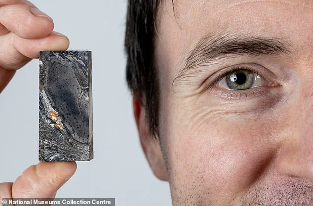 Late-Breaking Update: 26-Foot-Tall Prototaxites Reevaluated as Non-Fungal, Shifting 410 Million-Year-Old Scientific Paradigm