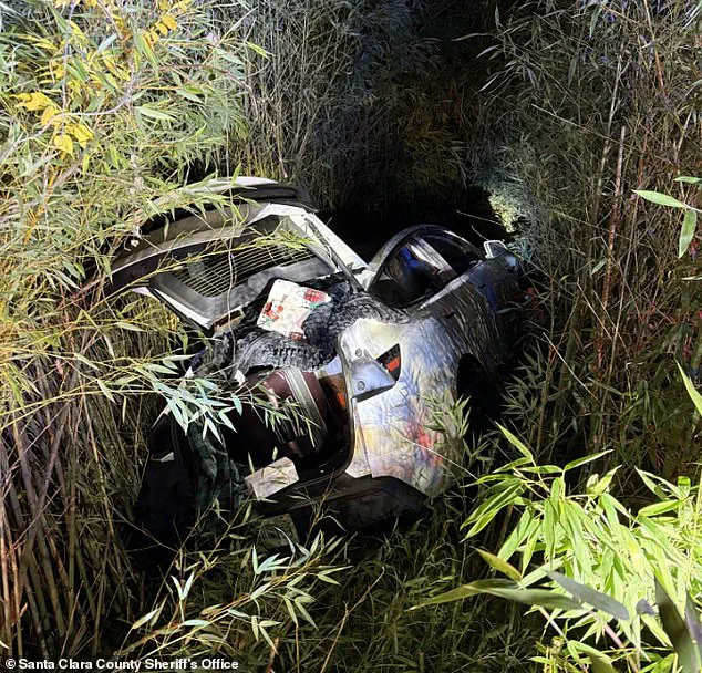 Legal and Financial Controversy Surrounds Tech Entrepreneur Vikram Beri Amid Wealth Management Challenges During Incarceration