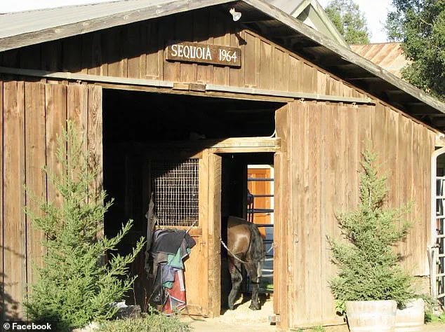 Legal and Financial Controversy Surrounds Tech Entrepreneur Vikram Beri Amid Wealth Management Challenges During Incarceration