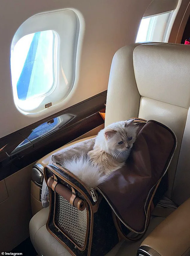 Legal Challenge to Karl Lagerfeld's Will Sparks High-Stakes Estate Dispute