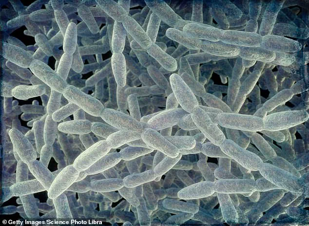Legionnaires’ Disease Outbreak in Westchester County Claims First Fatalities Since Outbreak Identified